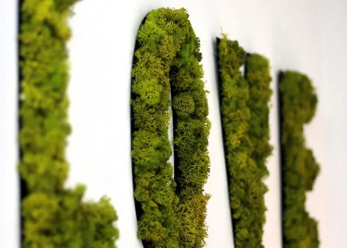 Lejlighed Idyllische - Mit Garten Und Sauna Kleve (Dusseldorf)